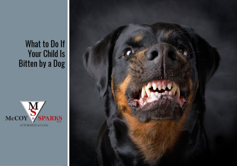 What to Do If a Dog Bites a Child