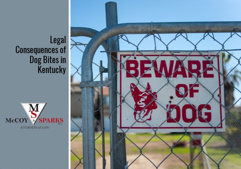 Legal Consequences of Dog Bites in Kentucky