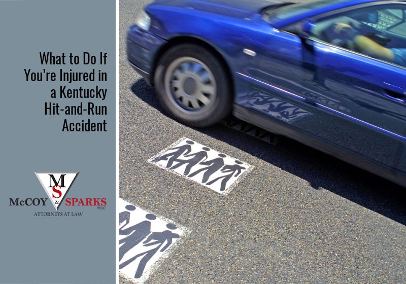 hit and run cases in kentucky