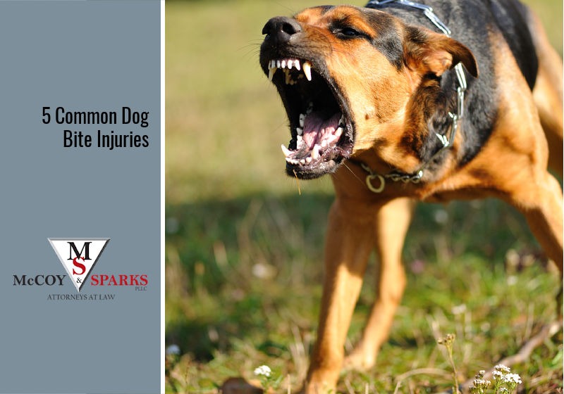 5 Common Dog Bite Injuries