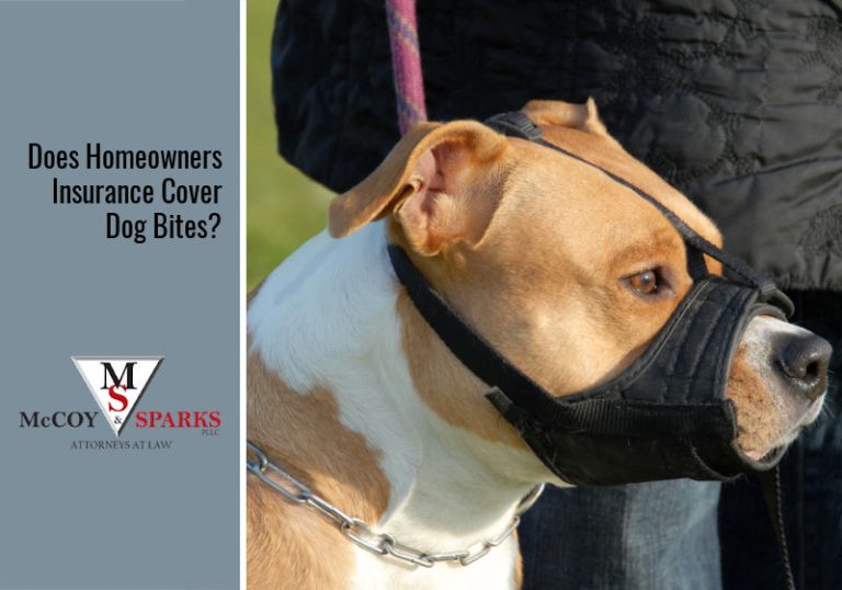 Can Dog Bites Be Covered by Homeowners Insurance?