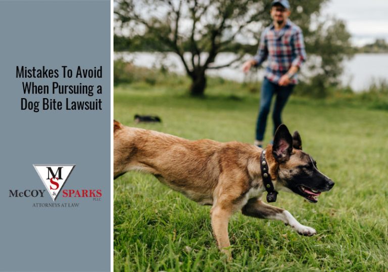 Making These Errors Will Help You Win Your Dog Bite Lawsuit