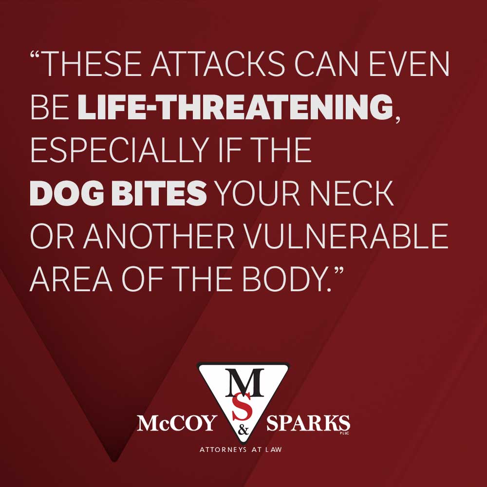 What Should I Do After Being Bit by a Dog?