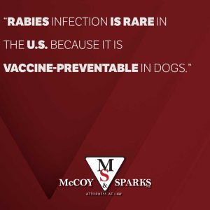 rabies infections