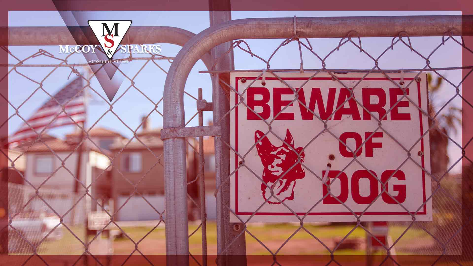 beware of dog