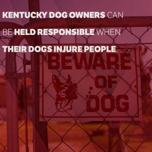 kentucky dog owners can be held responsible when their dogs injure people