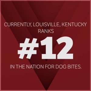 Kentucky #12 for dog bites in the nation