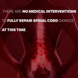 spinal cord effects