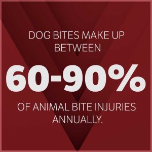 dog bite injuries